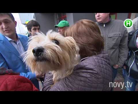 YouTube video thumbnail