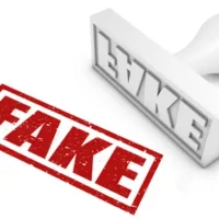Fake, Фейк